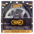 CHAIN & SPRO.KIT AFAM 520