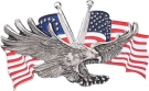 Placa decor *Vultur cu steagul SUA*